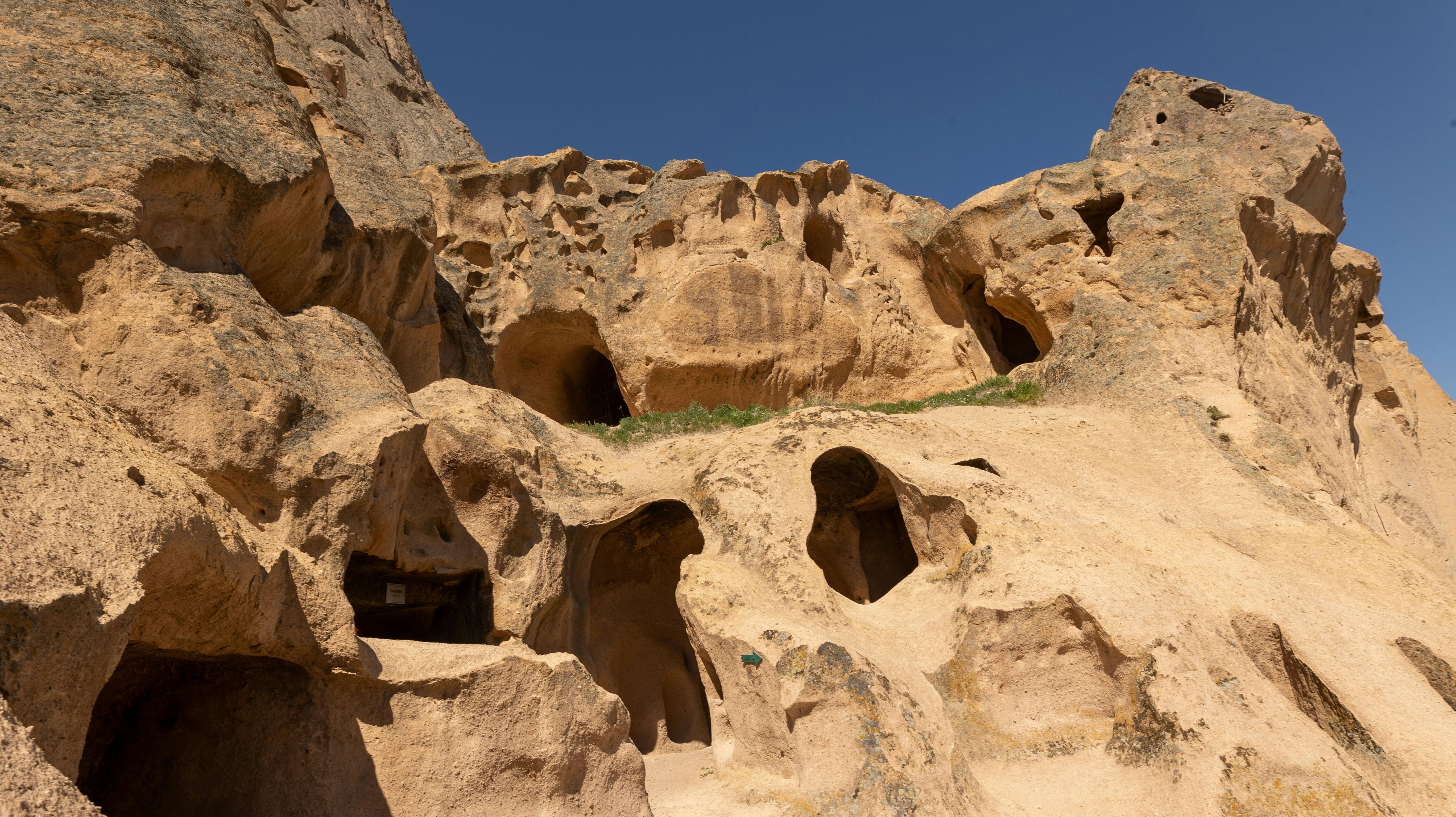 Ancient Nature